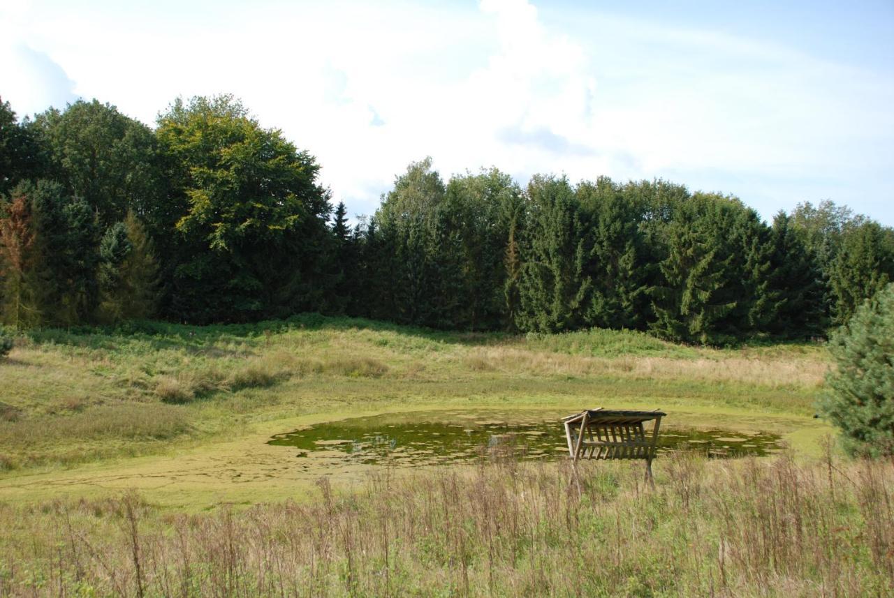 הוילה פוטן Charmant Chalet Op Een Bospark Op De Veluwe מראה חיצוני תמונה